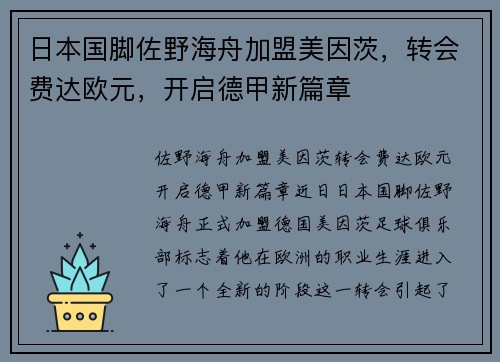 日本国脚佐野海舟加盟美因茨，转会费达欧元，开启德甲新篇章